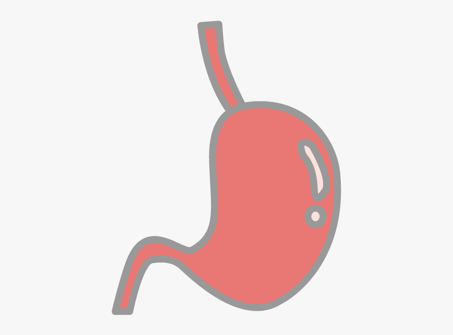 Stomach Clipart Png, Transparent Clipart