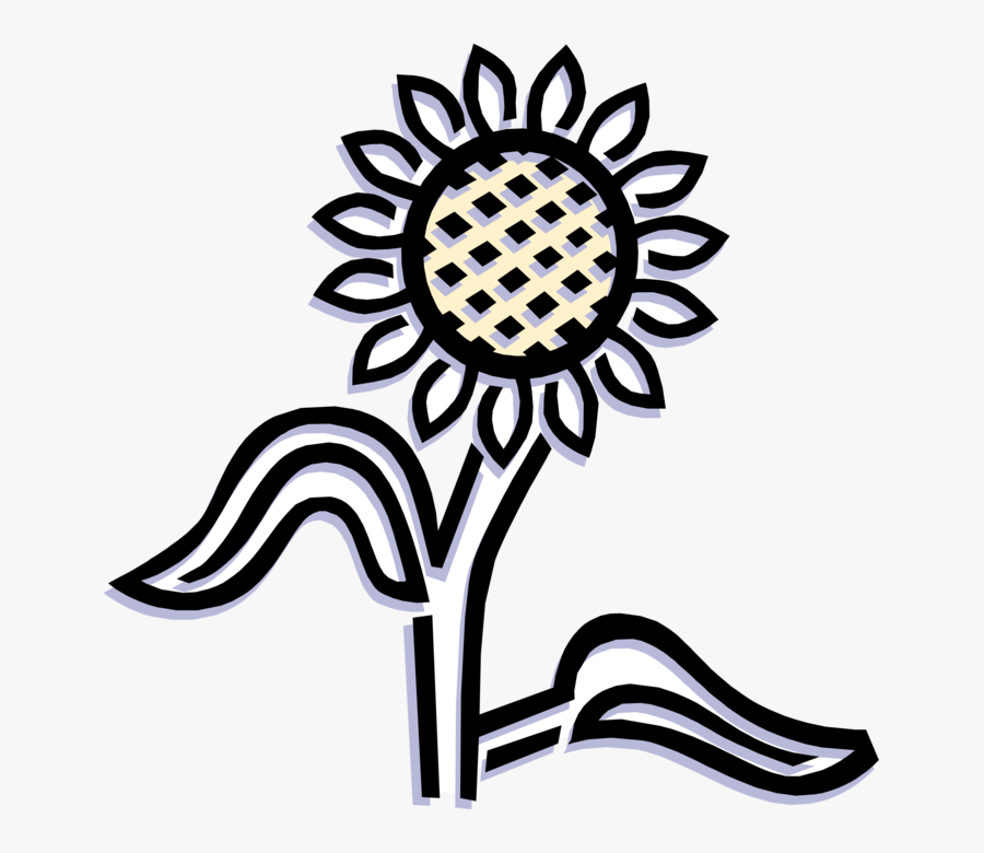 Vector Illustration Of Sunflower Flower Garden Plant - Illustration, Transparent Clipart