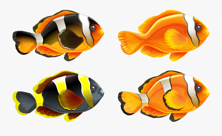 Picture Library Png Pinterest Fish Clip Art And - Peces De Colores Fondo Blanco, Transparent Clipart