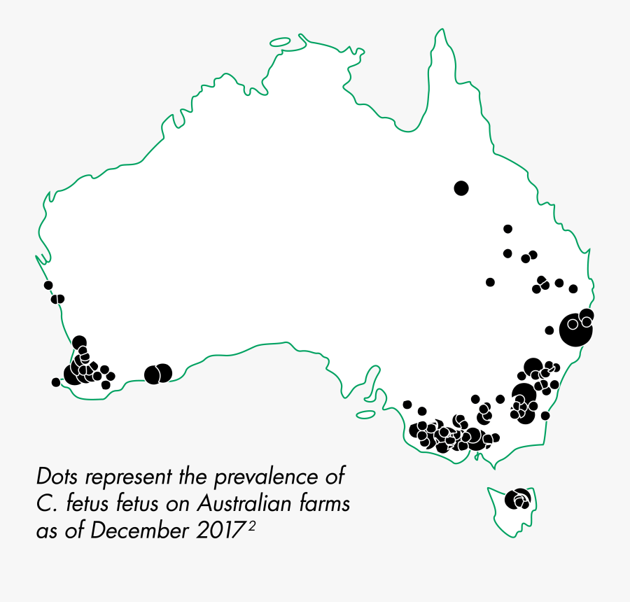 Gold Coast To Sydney Flight, Transparent Clipart