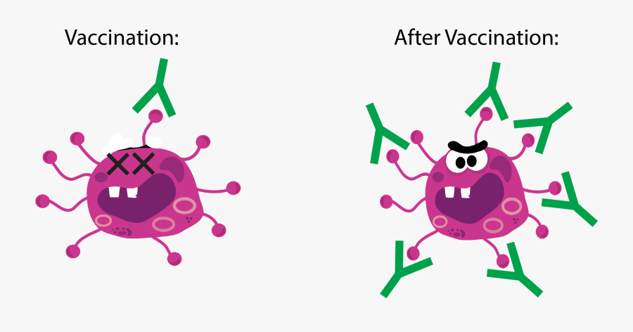 Bacterias Virus Png, Transparent Clipart