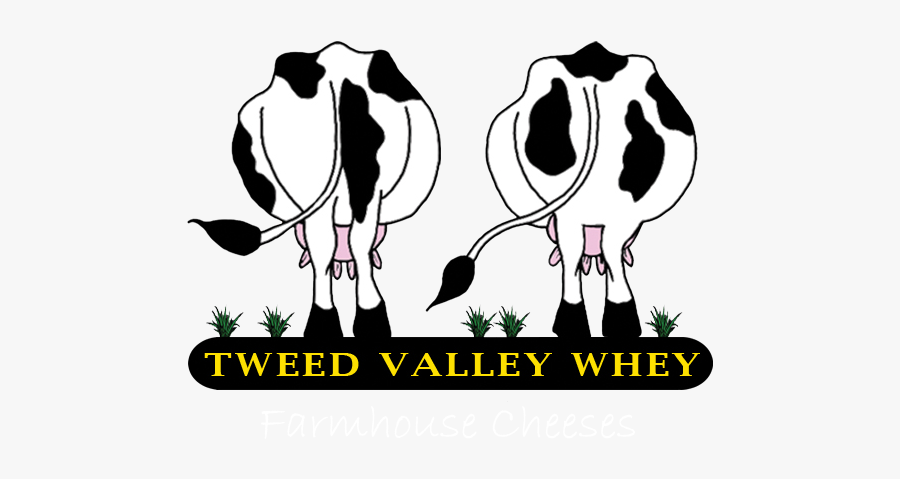 Tvwfc Logo No Bg3 - Illustration, Transparent Clipart