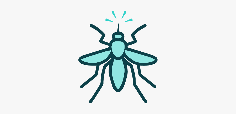 Prevencion Leishmania, Transparent Clipart