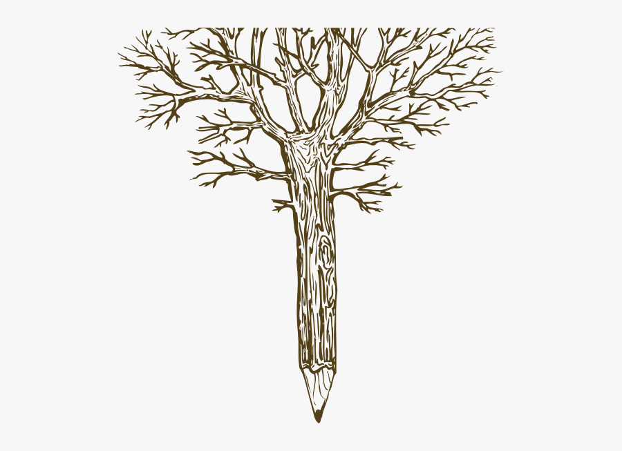 Pond Pine, Transparent Clipart