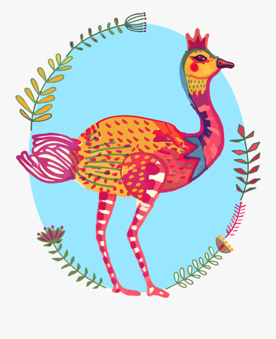 Ostrich, Bird, Colourful, South Africa - Cartoon, Transparent Clipart