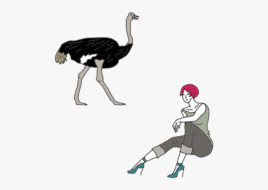 Ostrich - Ostrich Symbolism, Transparent Clipart