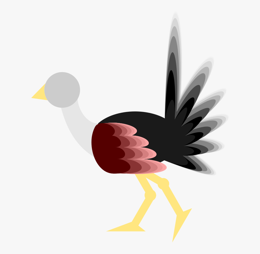 Ostrich - Turkey, Transparent Clipart