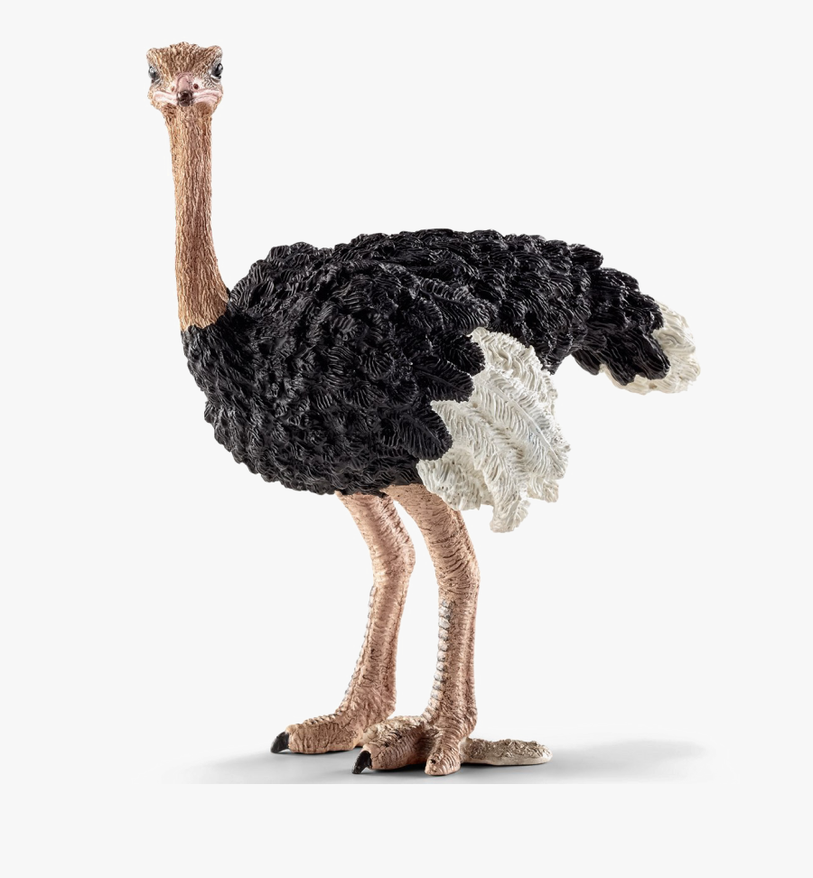 Schleich Ostrich, Transparent Clipart