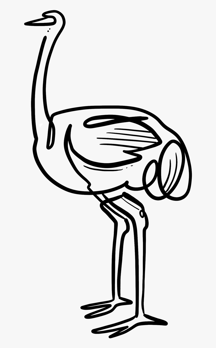 Ostrich, Transparent Clipart