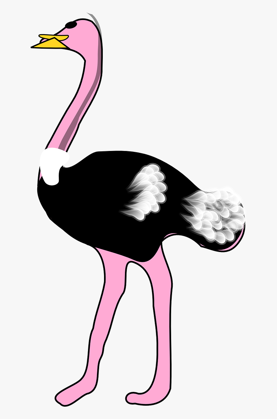 Clip Art Of Ostrich, Transparent Clipart