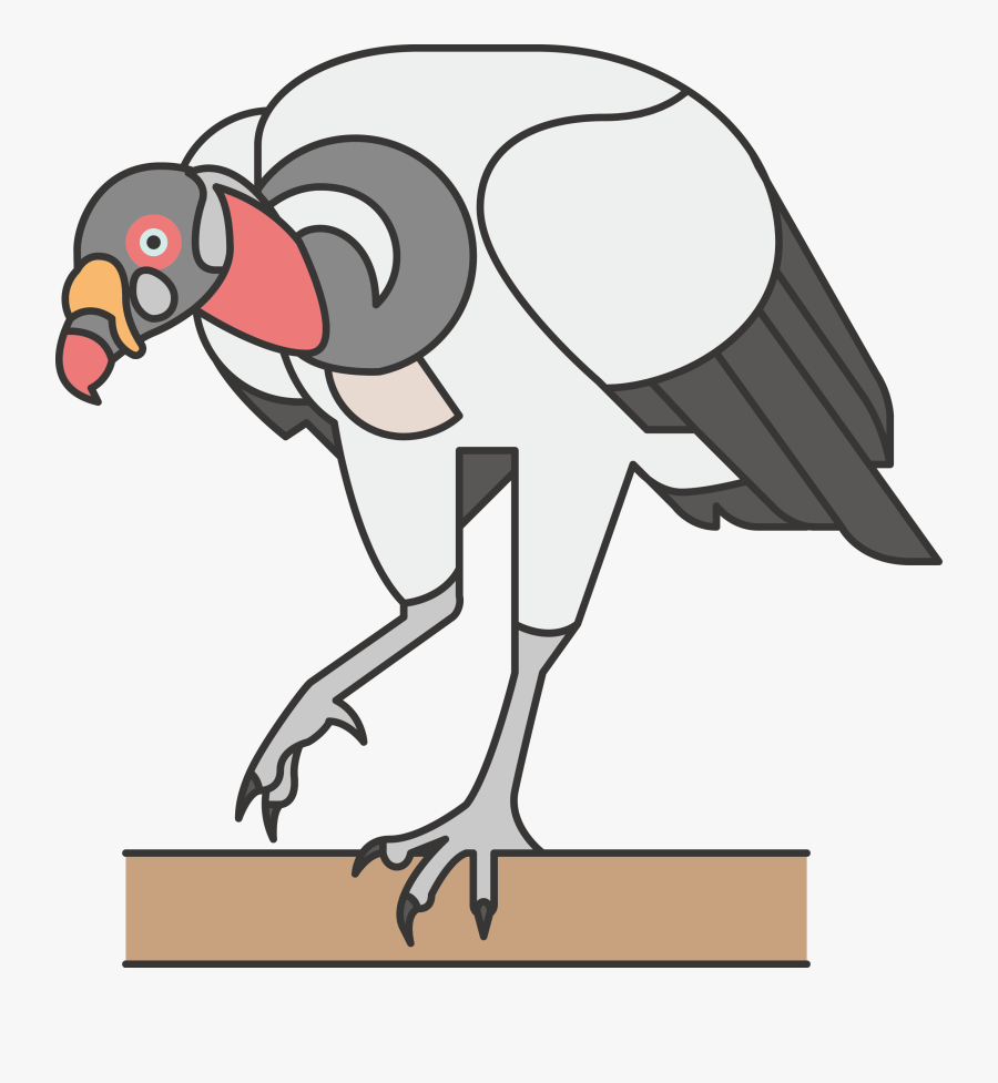 Transparent Ostrich Clipart - Icon, Transparent Clipart