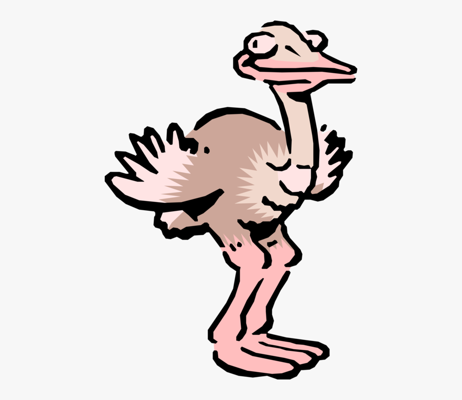 Vector Illustration Of Cartoon African Ostrich Bird - Emu Football Clipart, Transparent Clipart