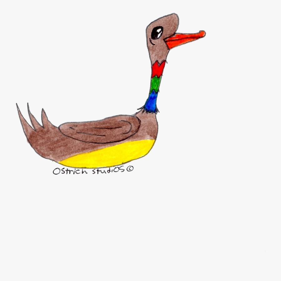 Theo Strich - Seabird, Transparent Clipart