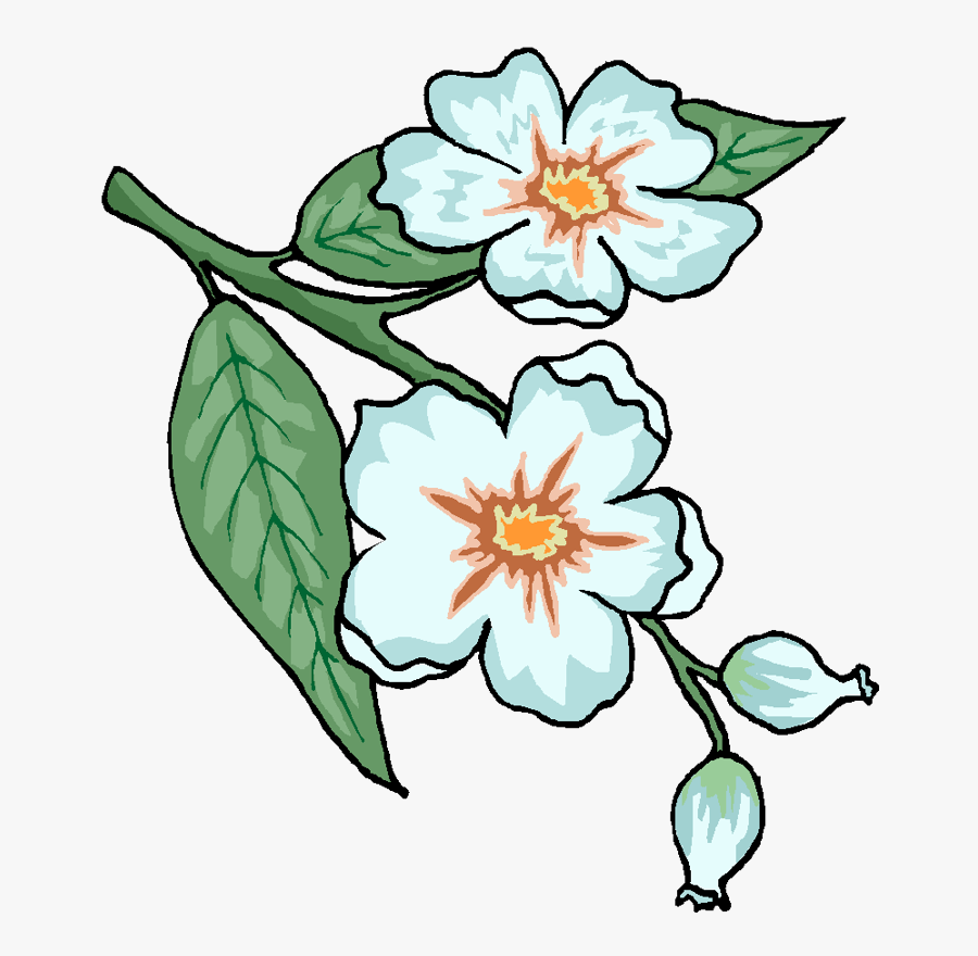 Spring Time In Fairburn, Transparent Clipart