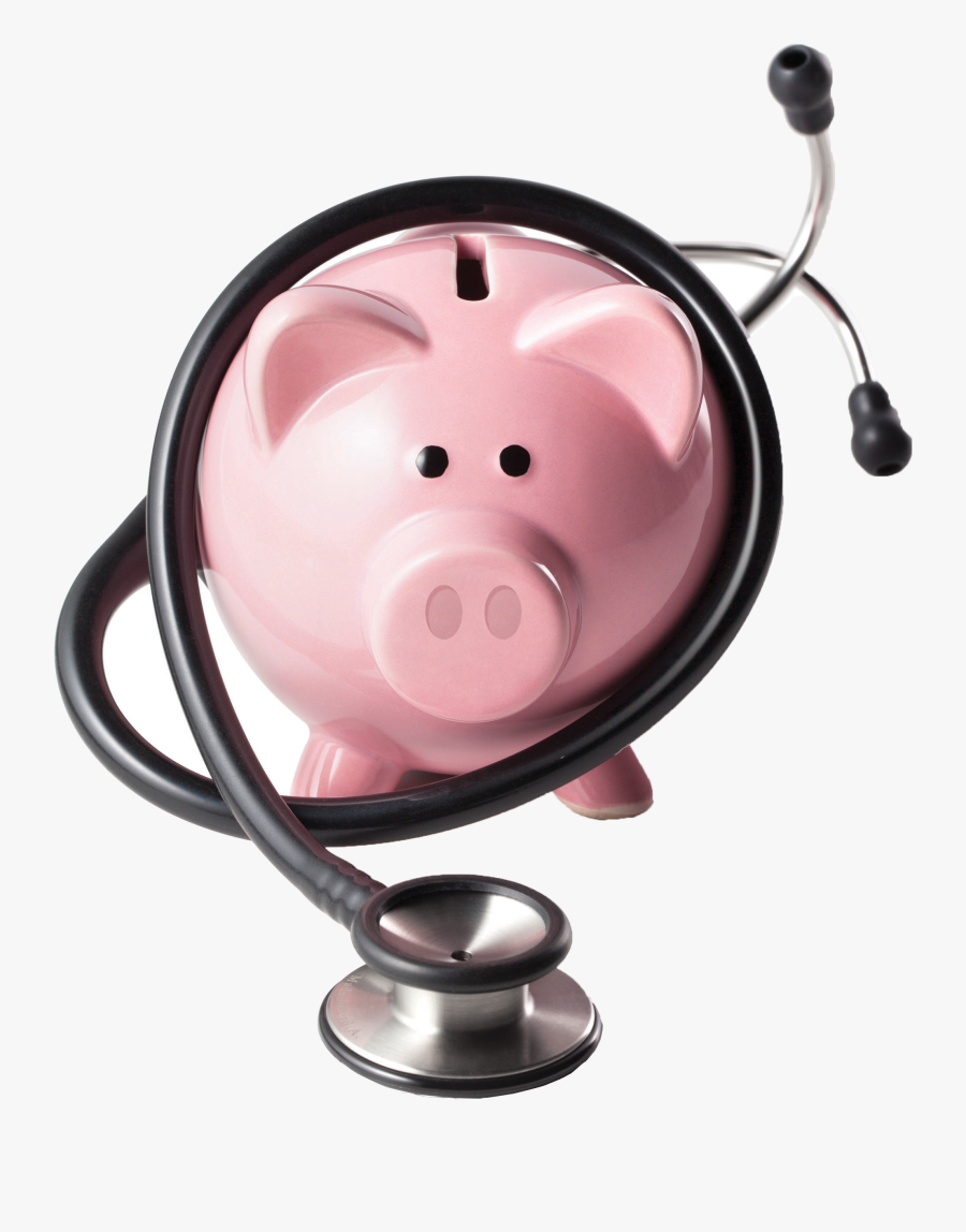 Domestic Pig, Transparent Clipart