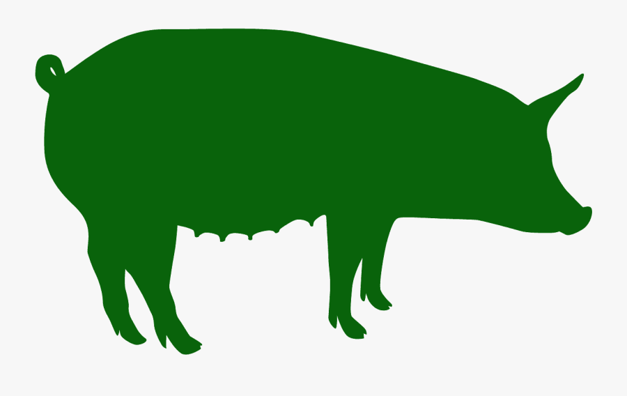 Silhueta Porco, Transparent Clipart