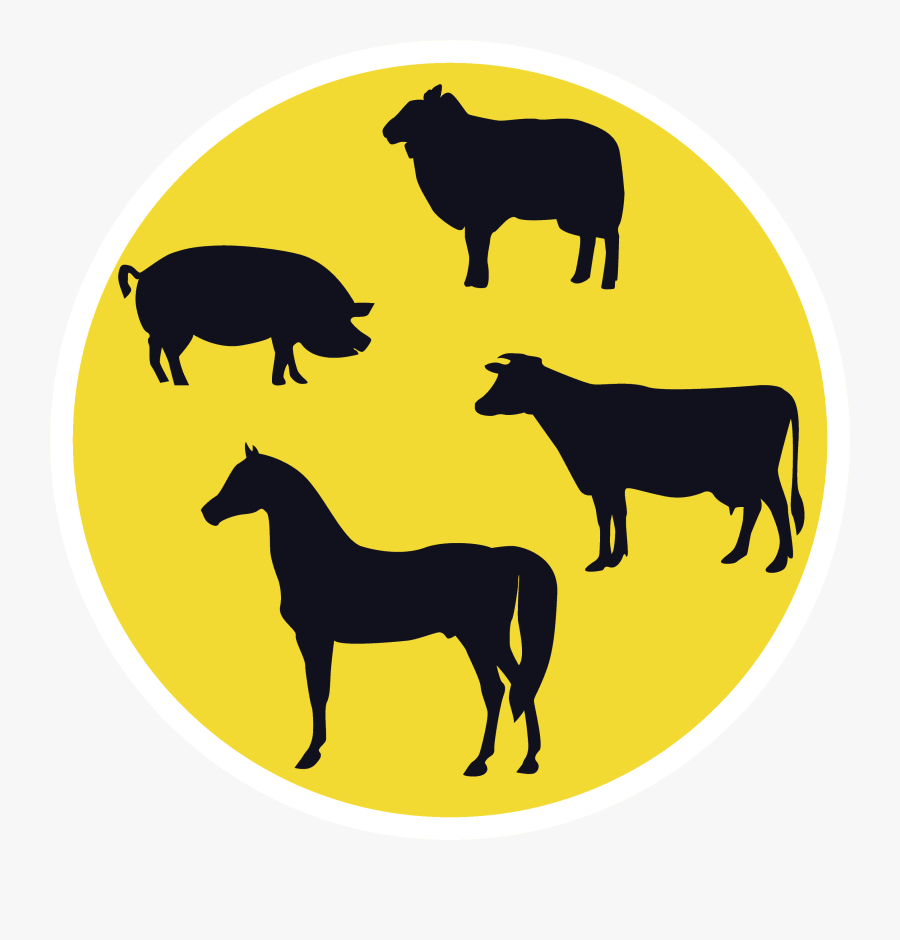 West Nile Virus Romania, Transparent Clipart