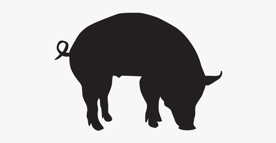 Antibiotics Farming, Transparent Clipart