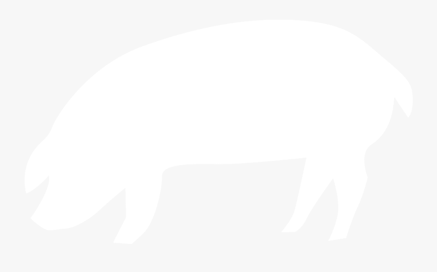 Pig, Transparent Clipart