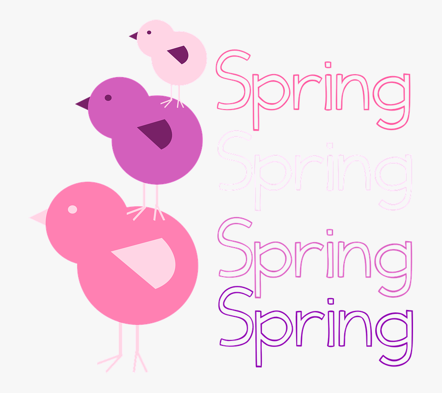 Birds, Easter, Chicks, April, May, Animal, Spring - Easter, Transparent Clipart