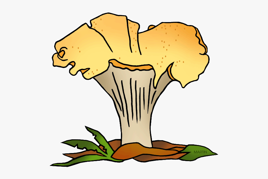 State Mushroom Of Oregon - Clipart Gif Transparent Chanterelle, Transparent Clipart