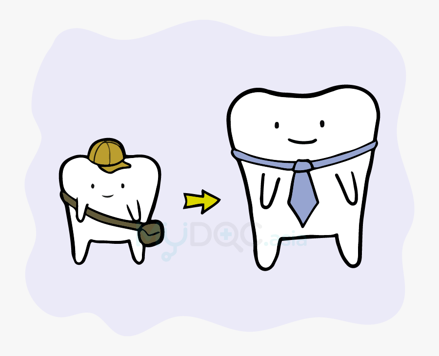 Teeth And Bone Growth - Cartoon, Transparent Clipart