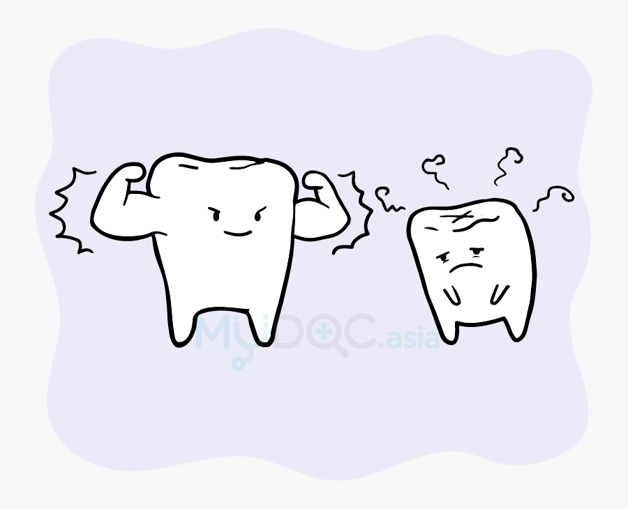 The Health And Strength Of Our Teeth Can Affect Our, Transparent Clipart