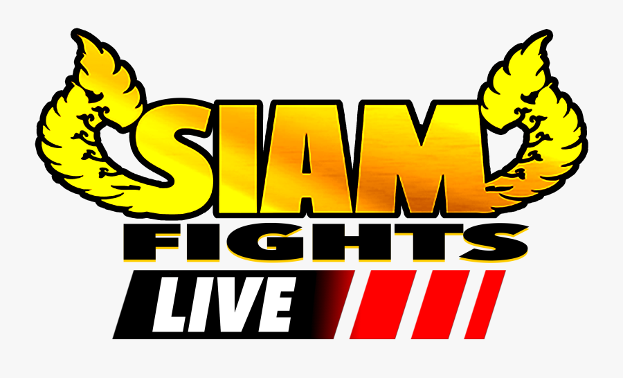 The Company Plans To Market Its Pro Bouts Under Its, Transparent Clipart