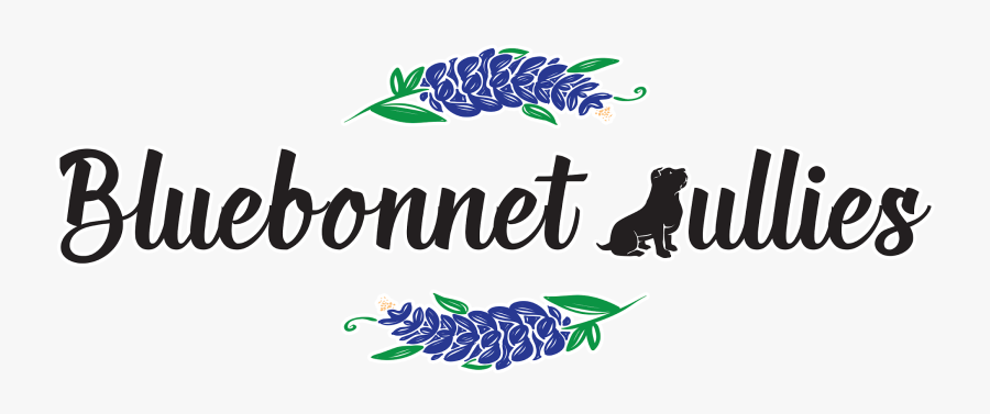 Graphic Design, Transparent Clipart