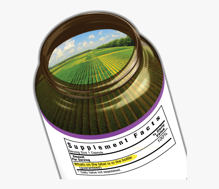 Circle, Transparent Clipart