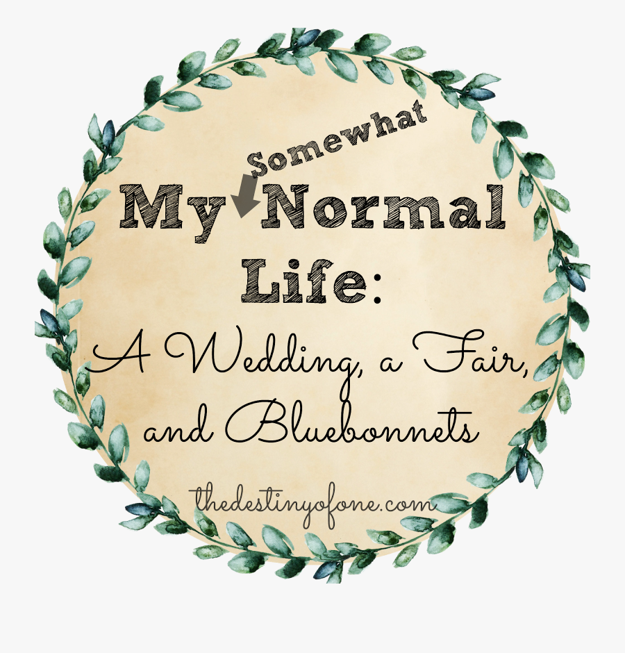 Accurate Institute Of Management And Technology, Transparent Clipart