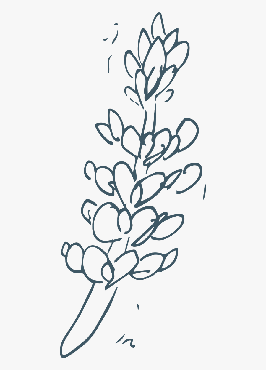 Drawing, Transparent Clipart