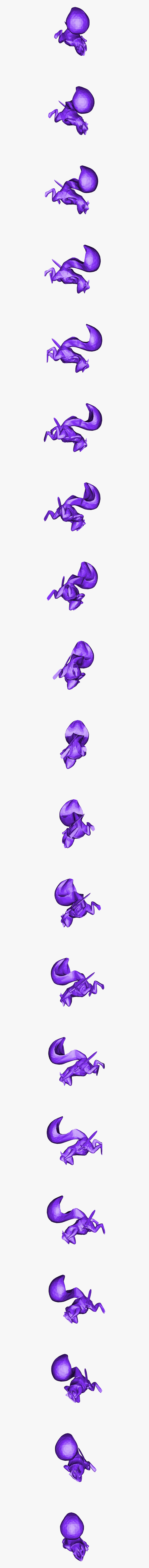 Sweet Pea, Transparent Clipart