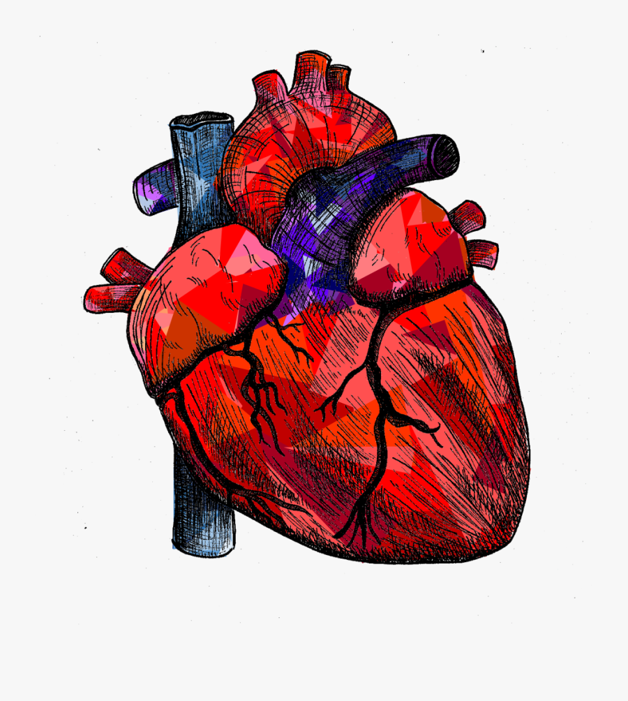 Illustration, Transparent Clipart