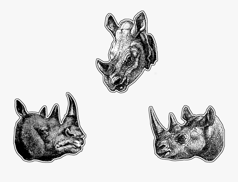 Sketch, Transparent Clipart