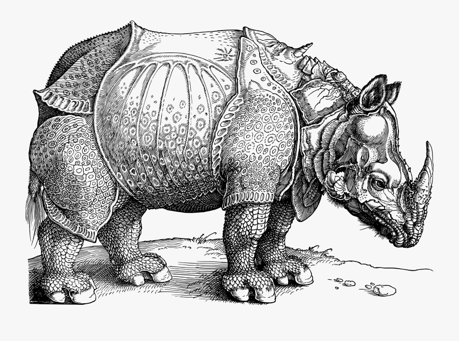 Clip Art Collection Of Free Rhino - Woodcut Of A Rhinoceros And St Jerome, Transparent Clipart