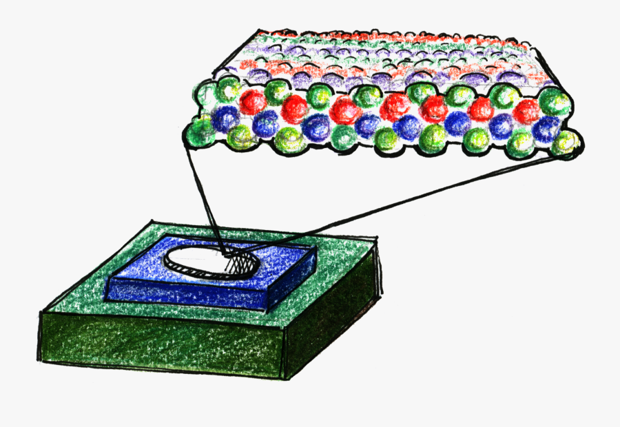 Clip Art, Transparent Clipart