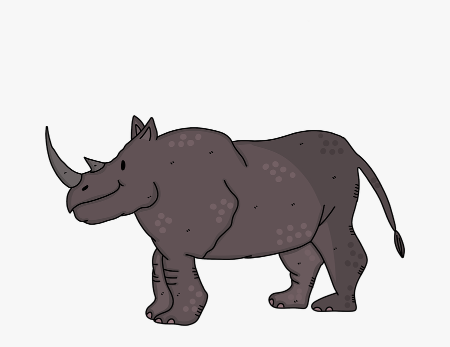 Rhino Rhinoceros Zoo Endangered Animals Endangered Gambar