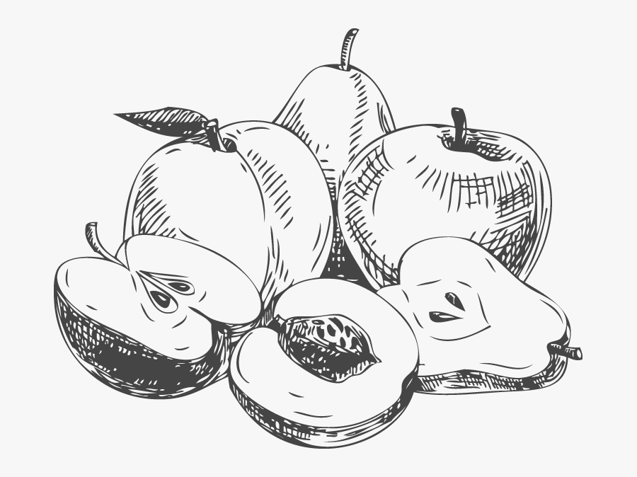 Food Png Sketch, Transparent Clipart