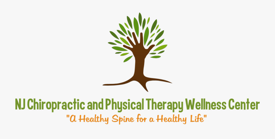 Nj Chiropractic And Physical Therapy Wellness Center - Illustration, Transparent Clipart