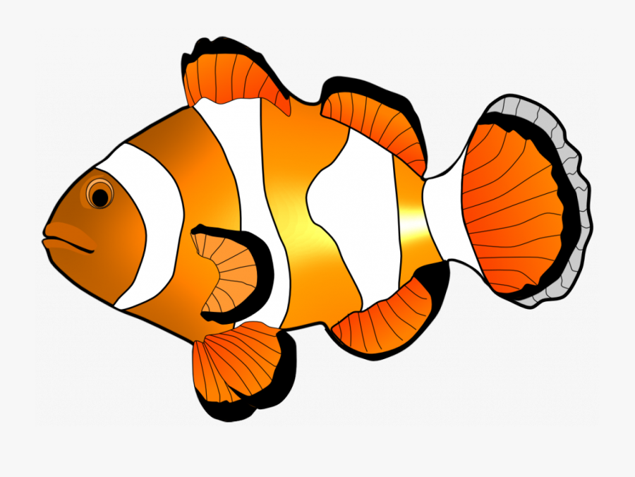 Peaceful Design Ideas Clip Art Fish Clipart Free - Clown Fish Clipart Black And White, Transparent Clipart