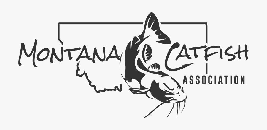 Montana Catfish Association, Transparent Clipart