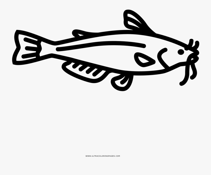 Catfish Coloring Page - Line Art, Transparent Clipart