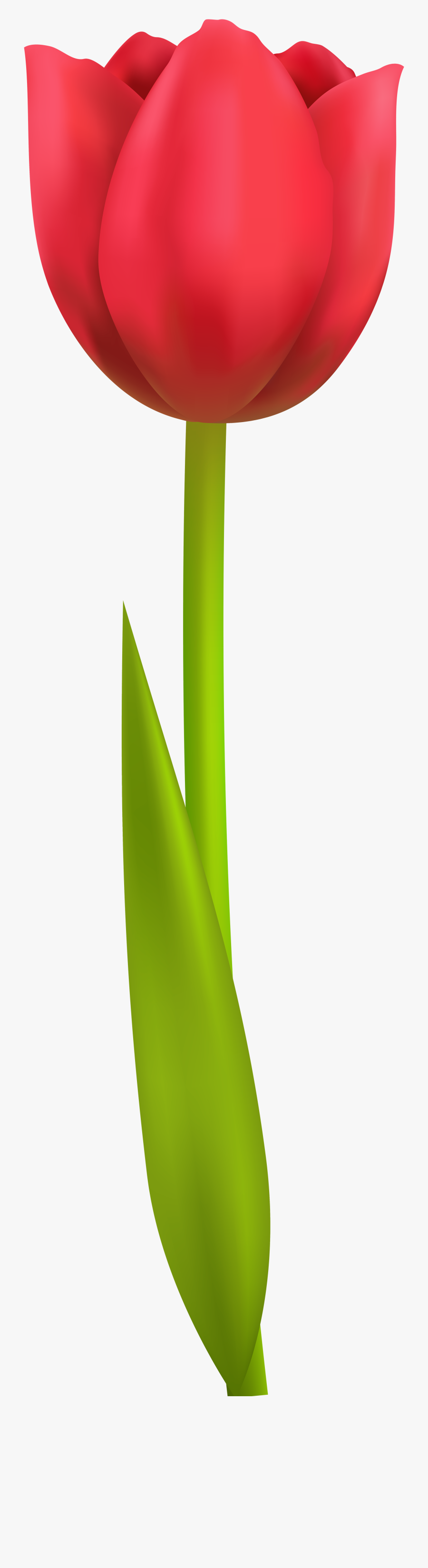 Tulip Png Transparent Clip - Clipart Tulip, Transparent Clipart