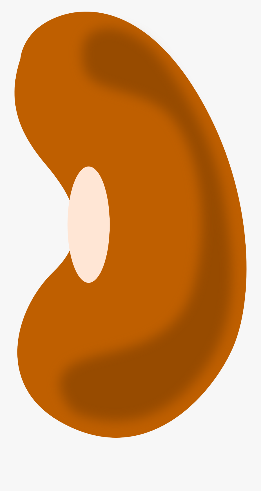 Bean Vegetable Brown Free Picture - Semilla De Frijol Dibujo, Transparent Clipart