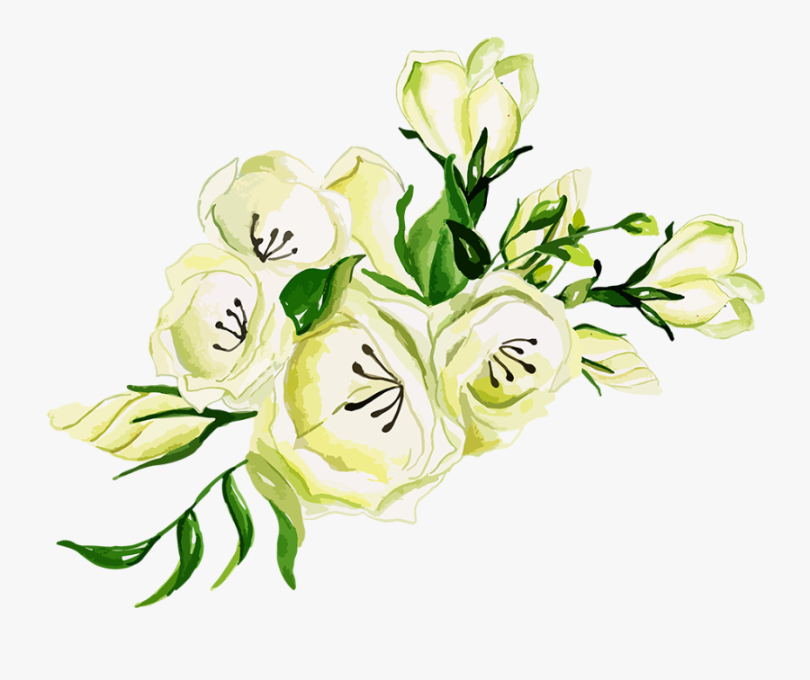 Garden Roses, Transparent Clipart