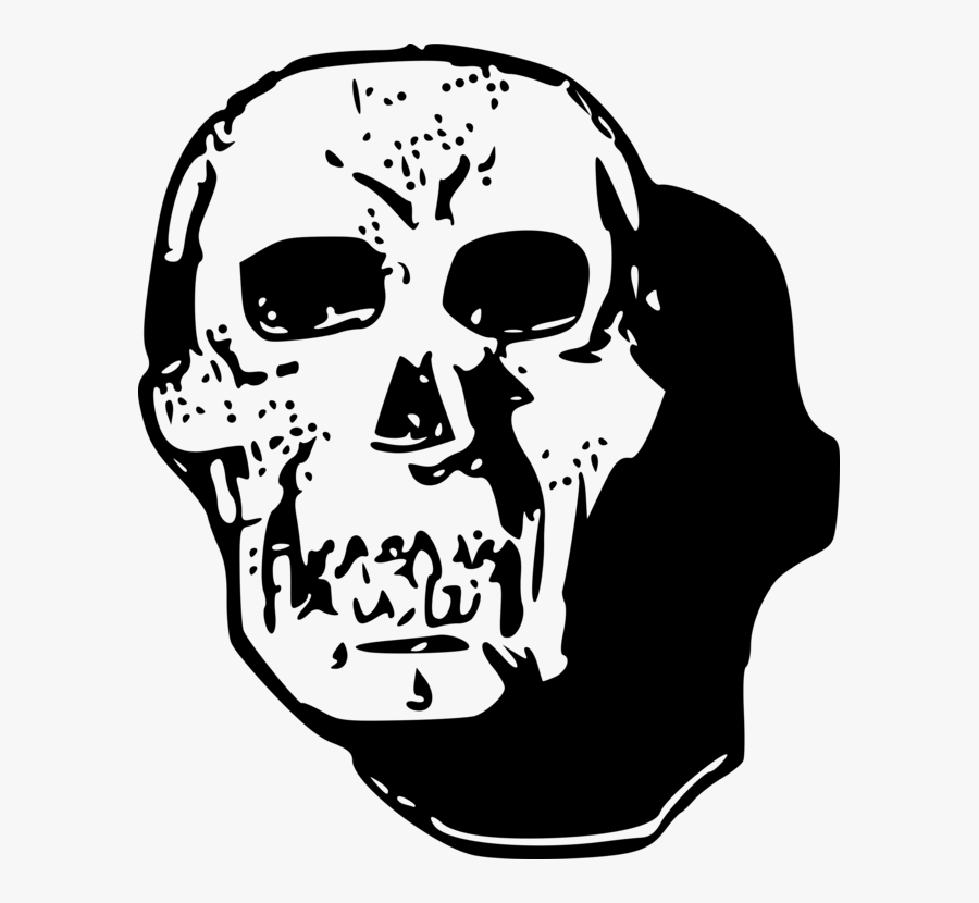 Human Behavior,head,skull - Skull, Transparent Clipart
