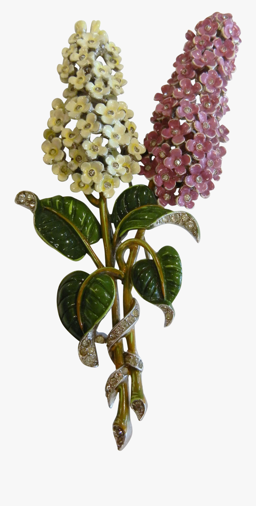 Lilac, Transparent Clipart