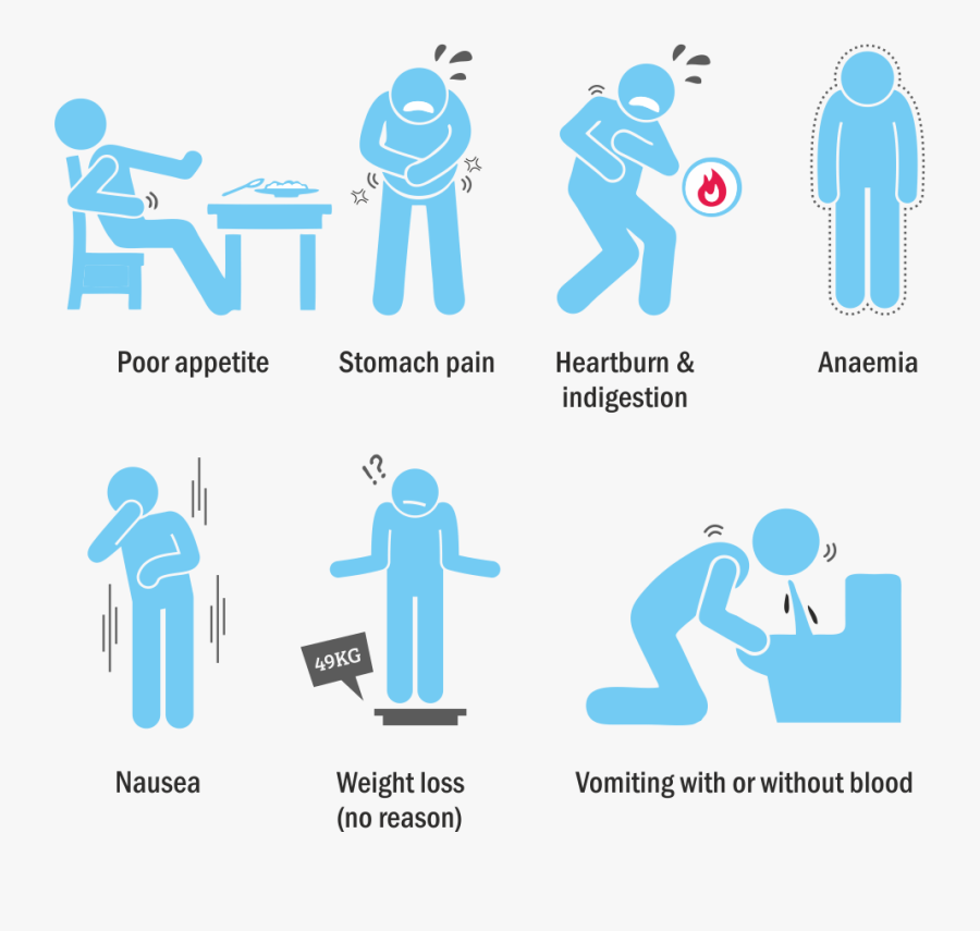 Risk Factors Of Colorectal Cancer, Transparent Clipart