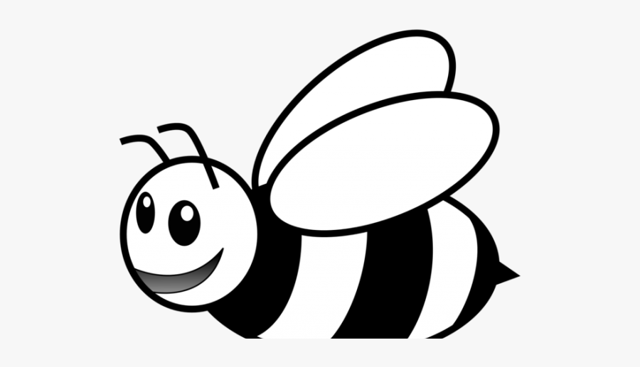 Honey Bee Line Drawing, Transparent Clipart